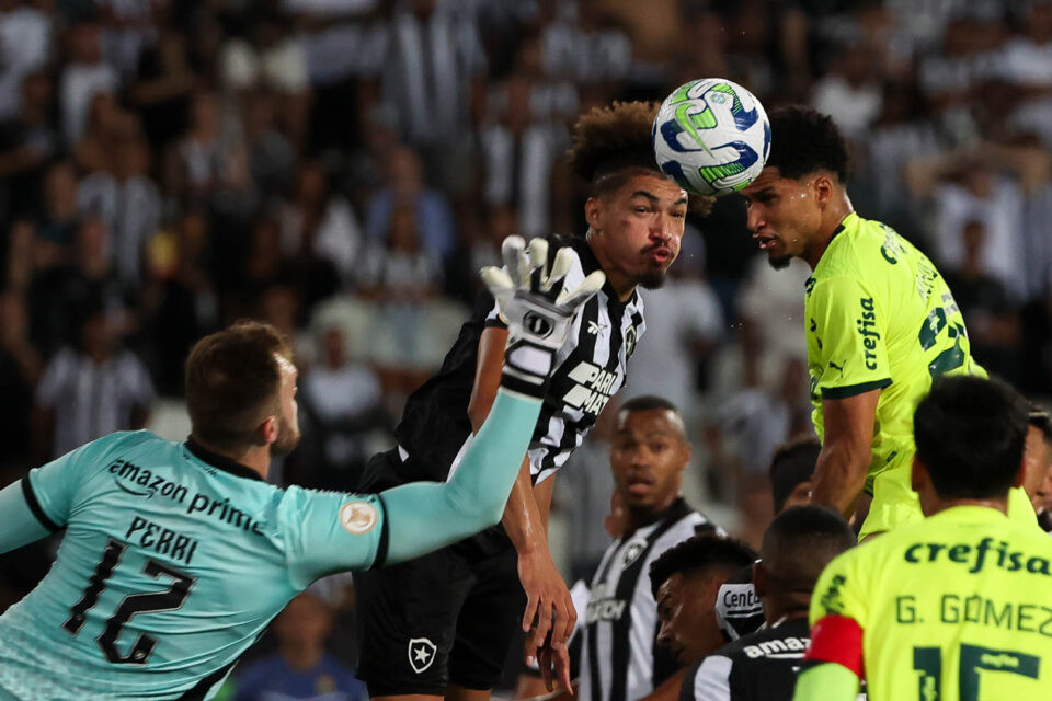 Confronto entre Palmeiras e Botafogo é o jogo mais esperado desta terça-feira (26/11)