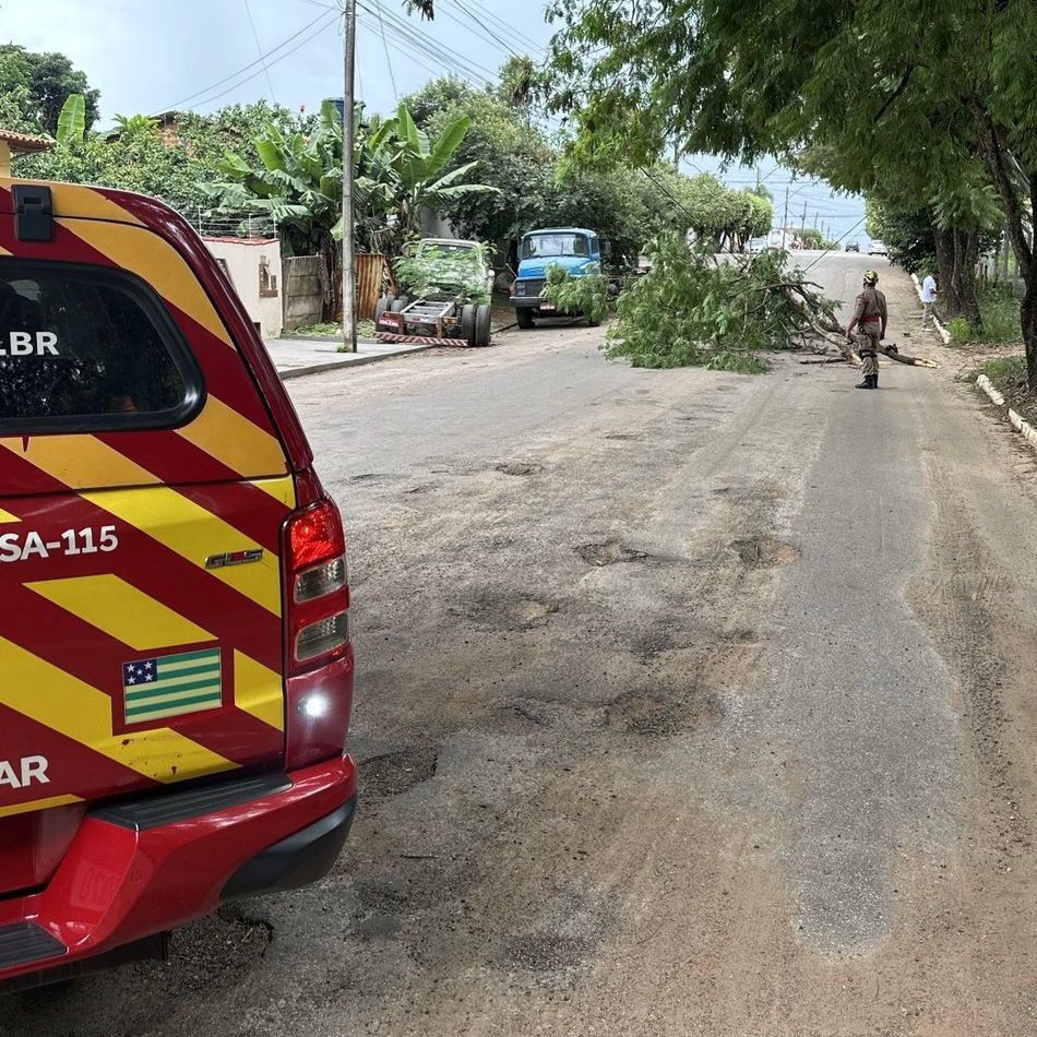 Fios de energia ficam pendurados no bairro Carrilho após queda de galha de árvore