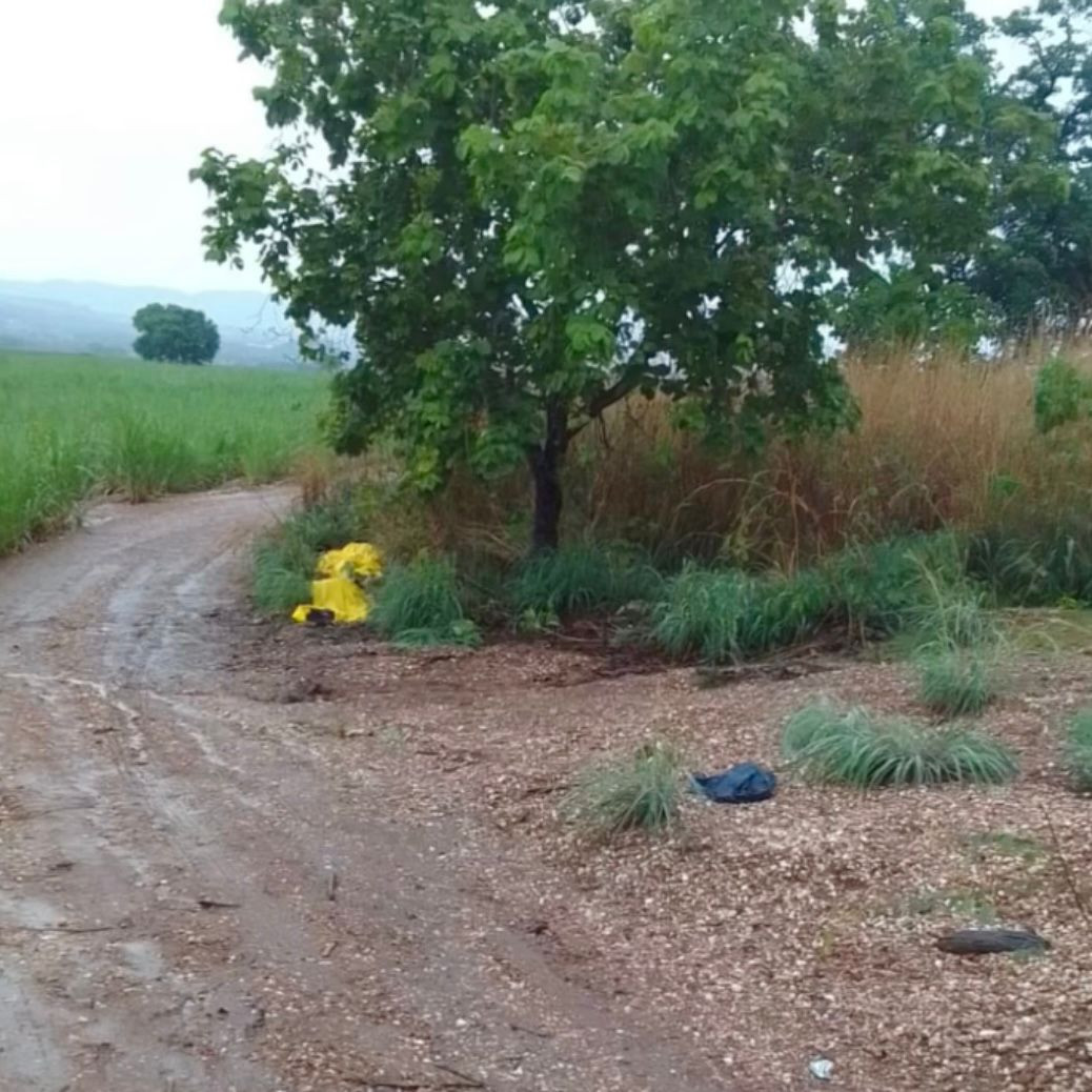 Dois morrem e três ficam feridos após queda de raio em fazenda de Goianésia