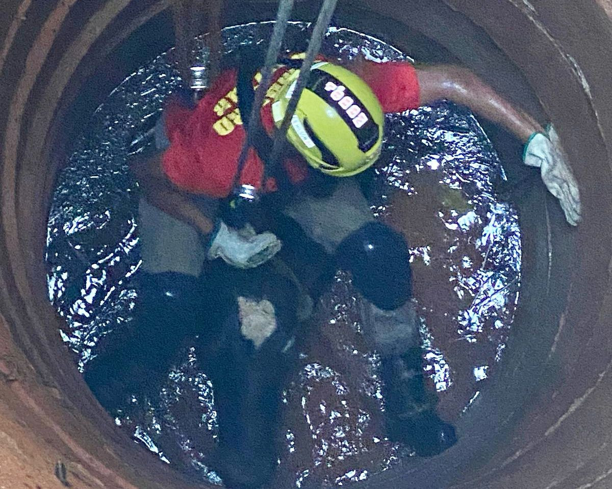 Corpo de Bombeiros retira vaca que caiu dentro de cisterna de 10 metros de profundidade