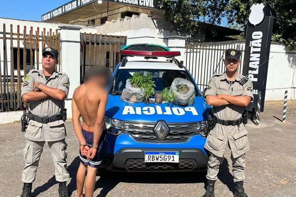 Homem é preso em Goianésia com 26 pés de maconha após esfaquear a companheira