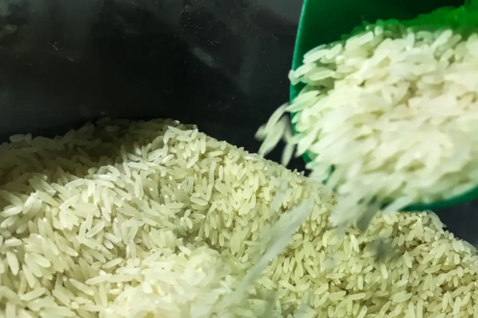 Presidente Lula autoriza compra de um milhão de tonelada de arroz para abastecer o país