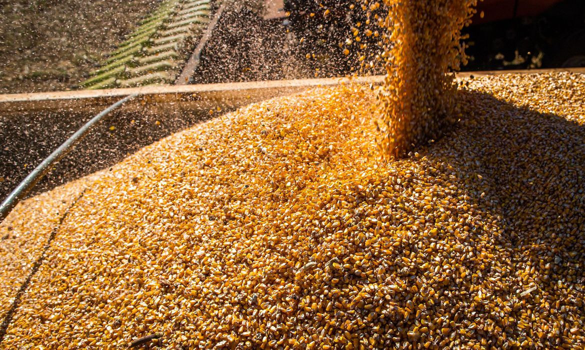 Setor do agronegócio em Goiás gera mais de um milhão de empregos somente em 2023