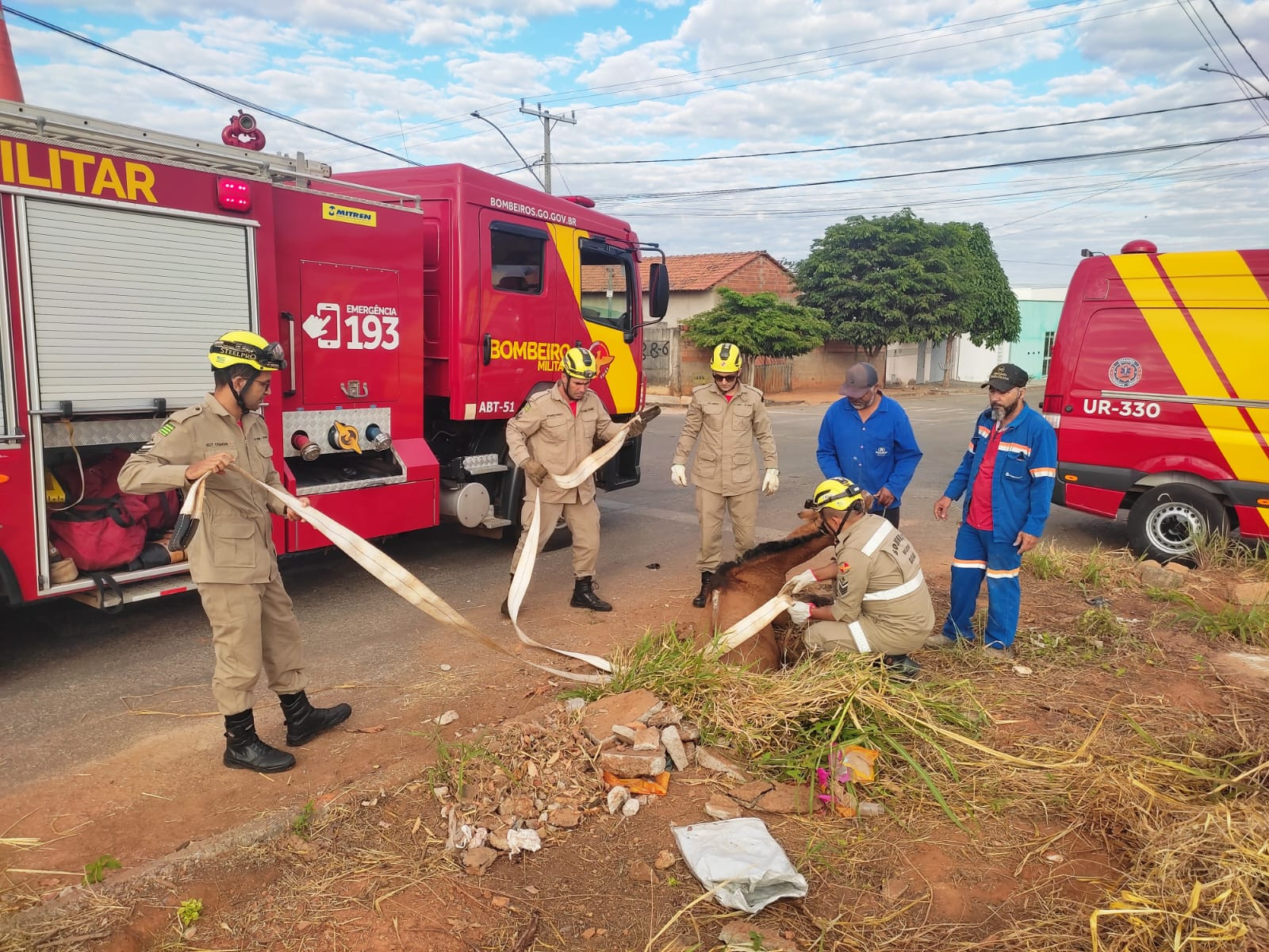 Corpo de Bombeiros resgatam cavalo de dentro de buraco no Parque das Palmeiras