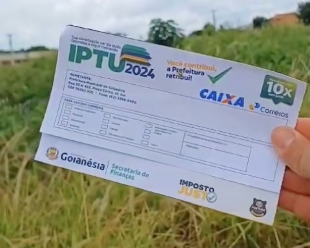 Morador bate veneno no mato e lamenta “o IPTU já chegou, que maravilha hein”