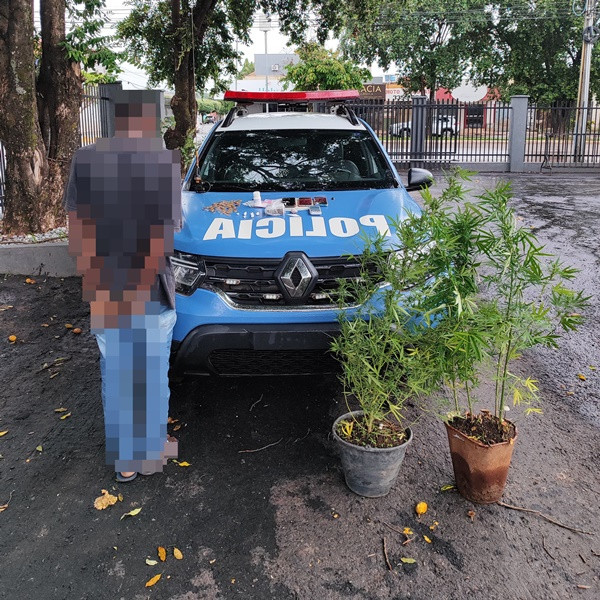 Traficante é preso com drogas e pé de maconha no bairro Muniz Falcão em Goianésia