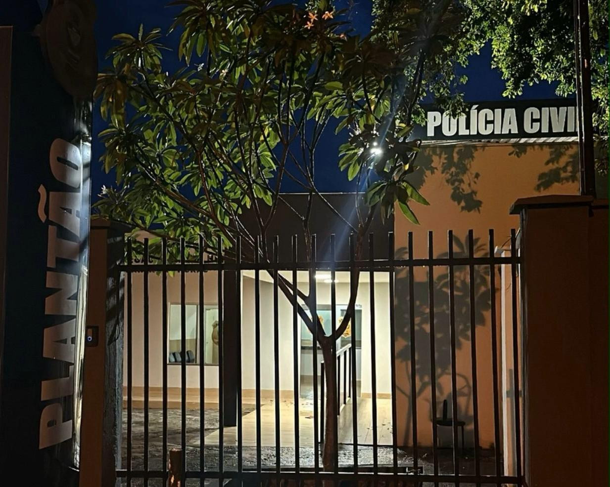 Delegacia de Goianésia registra mais de 600 boletins de ocorrência por golpes aplicados
