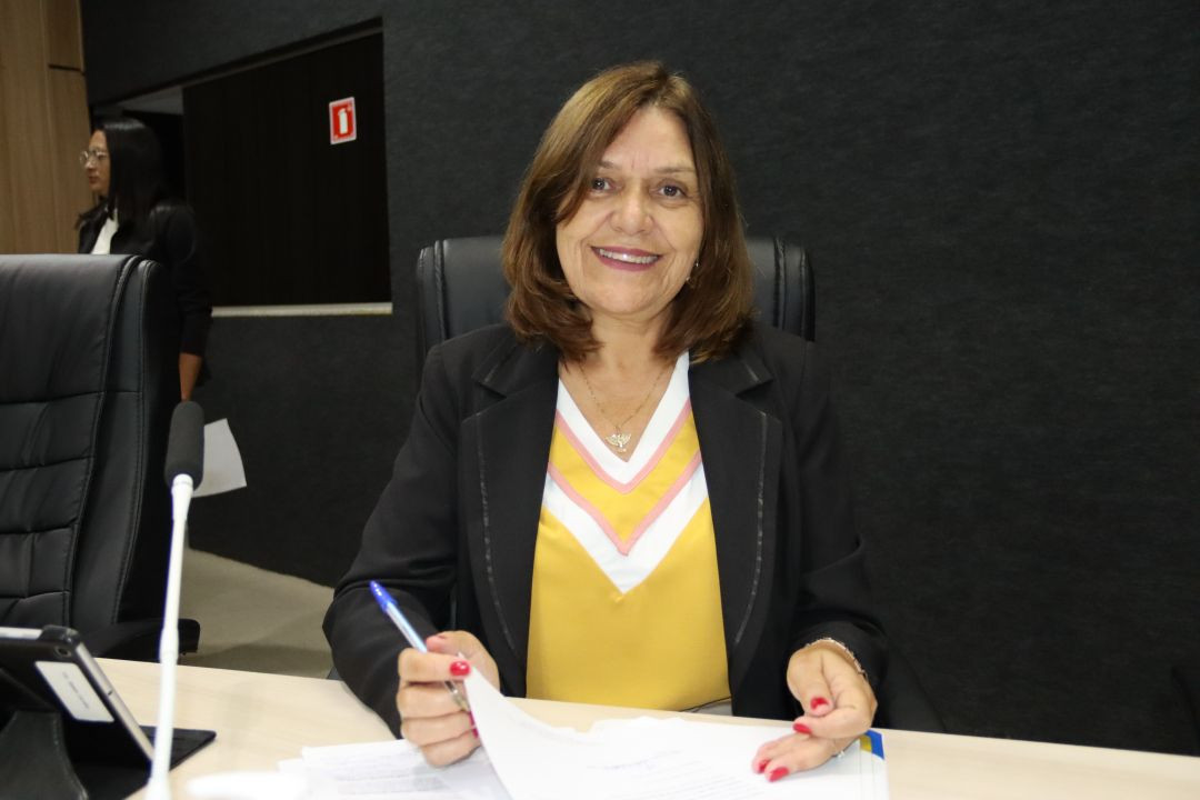 Salete Carrilho solicita finalização de placas de trânsito no Parque das Palmeiras III