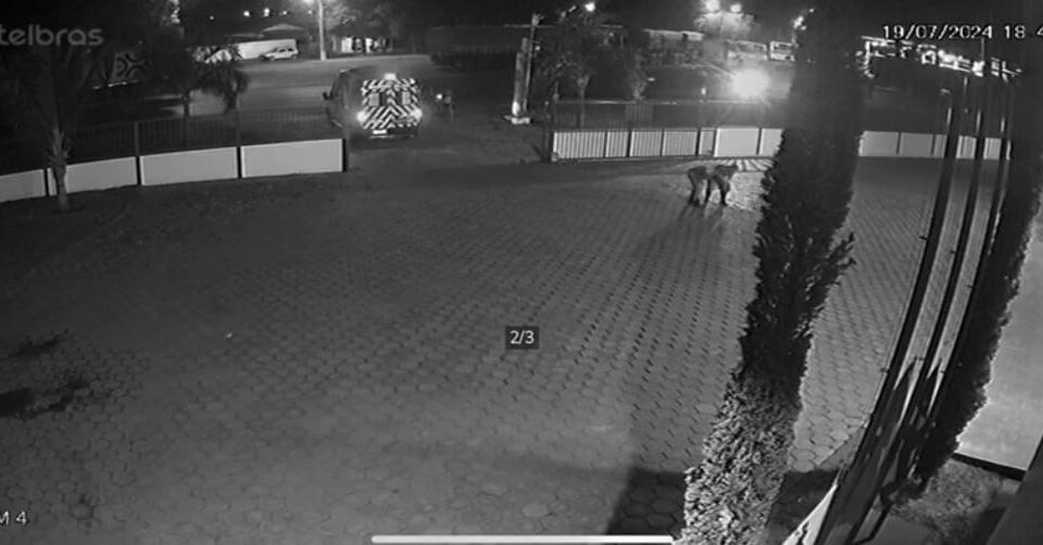 Bebê de apenas 20 dias engasga e é salvo na cidade de Ipameri e é socorrido
