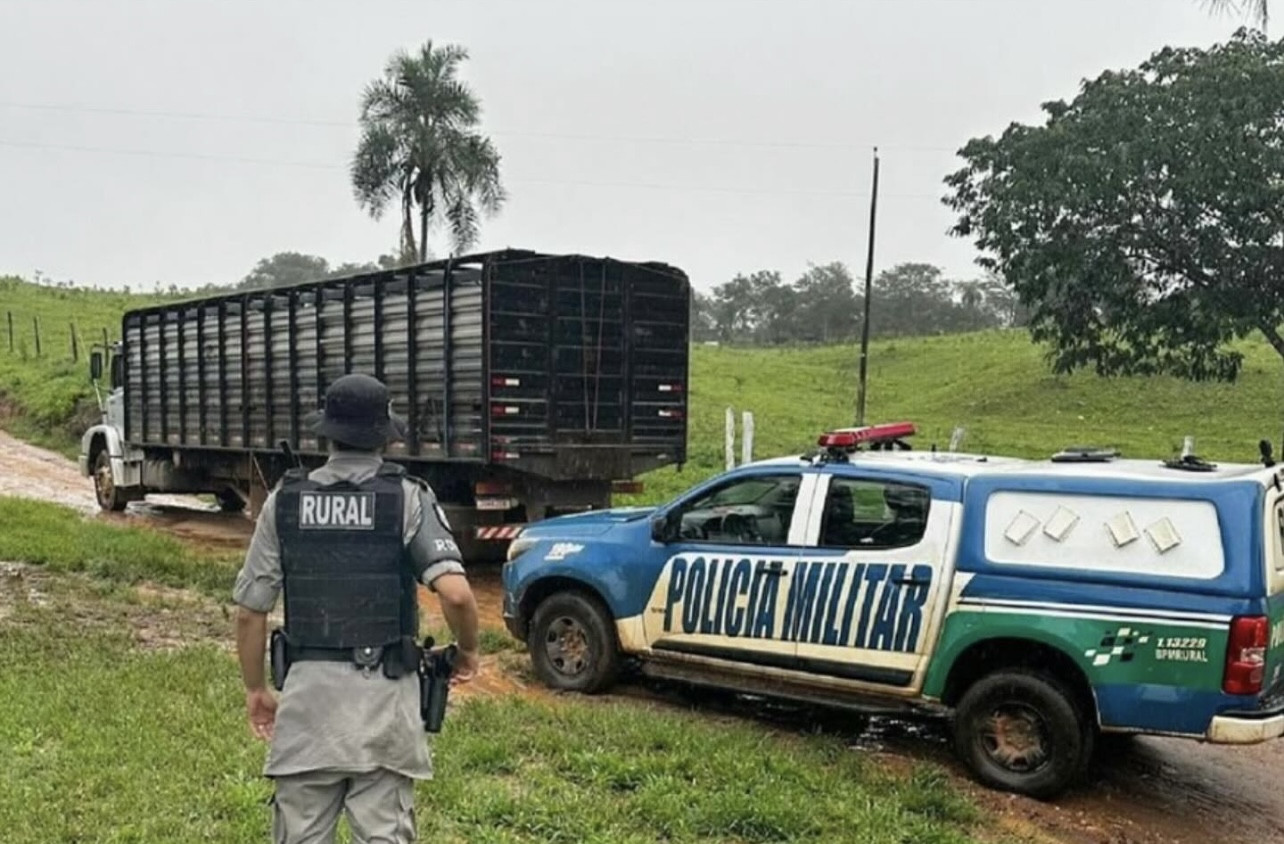 Batalhão Rural impede o furto de 61 cabeças de gado na região de Mirilândia em Jaraguá