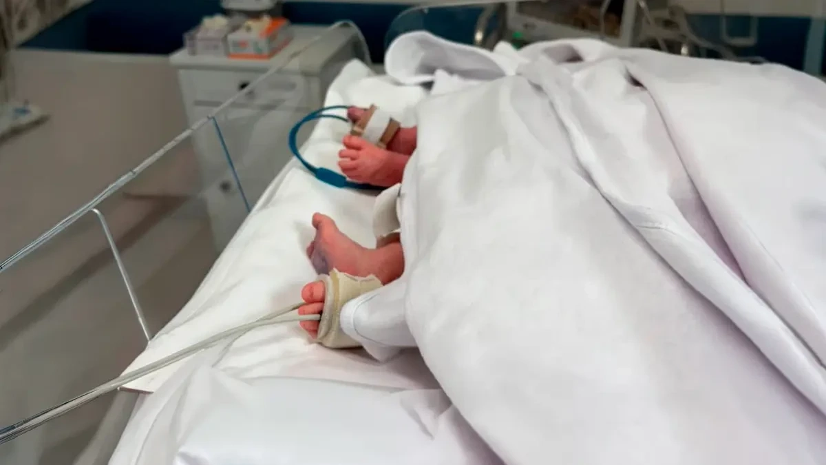 Bebês siameses Bernardo e Eduardo morrem após complicações infecciosas em Goiânia
