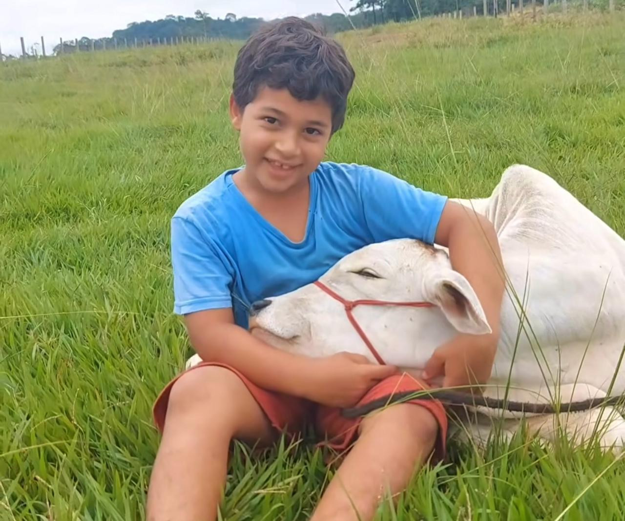 Amizade entre menino e bezerro chama atenção e viraliza na internet
