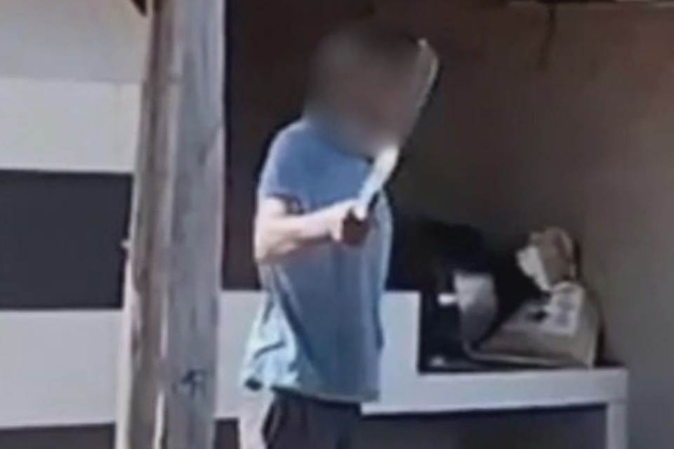 Homem usa podão para tentar matar nora, mas atinge cabeça da neta, de 9 anos, em Vianópolis