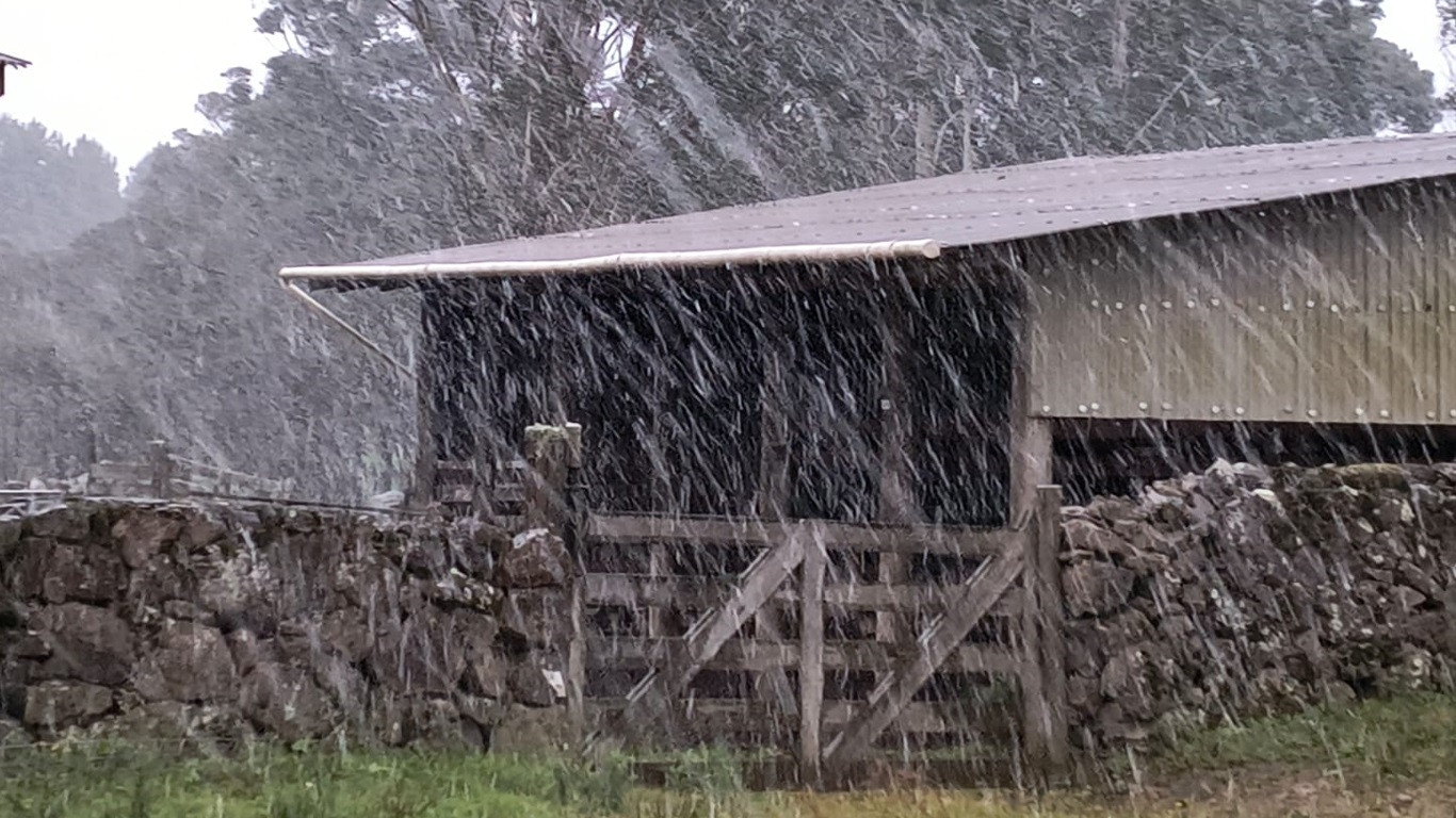 Neve no Brasil: RS e SC amanhecem com as ruas cobertas de gelo