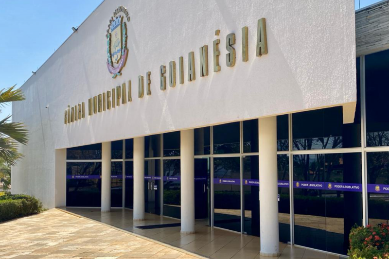 Informação sobre votação de vereadores de Goianésia é identificada como fake news
