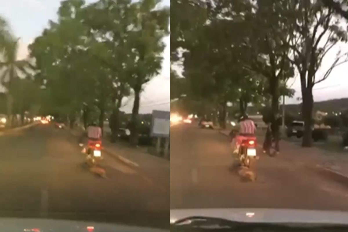 Vídeo mostra motociclista arrastando cachorro pela rua enquanto pilota, em Pirenópolis