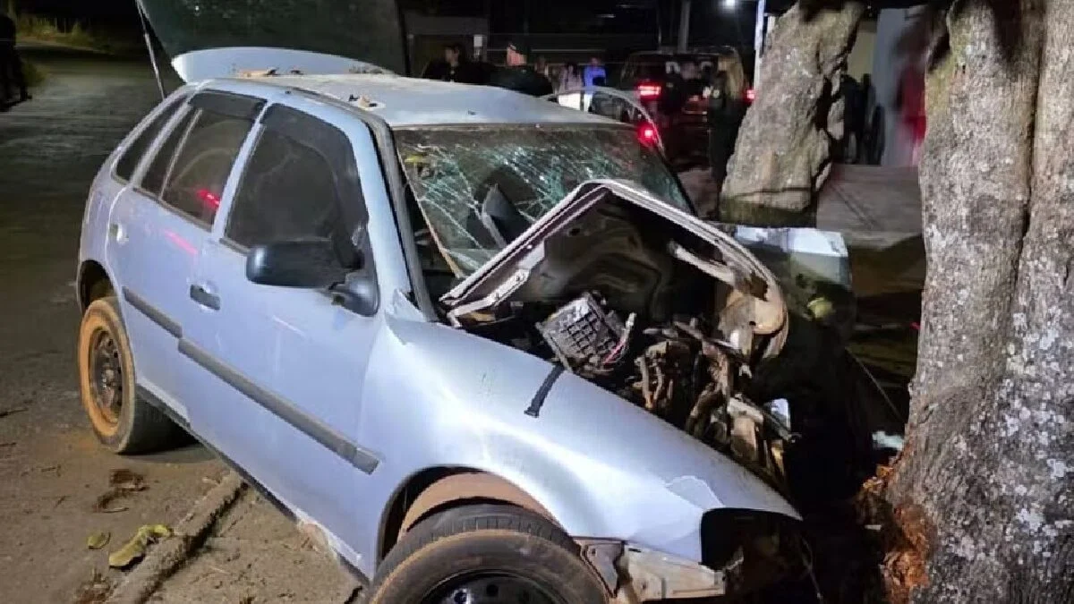 Motorista morre após bater em árvore enquanto fugia de blitz, em Anápolis