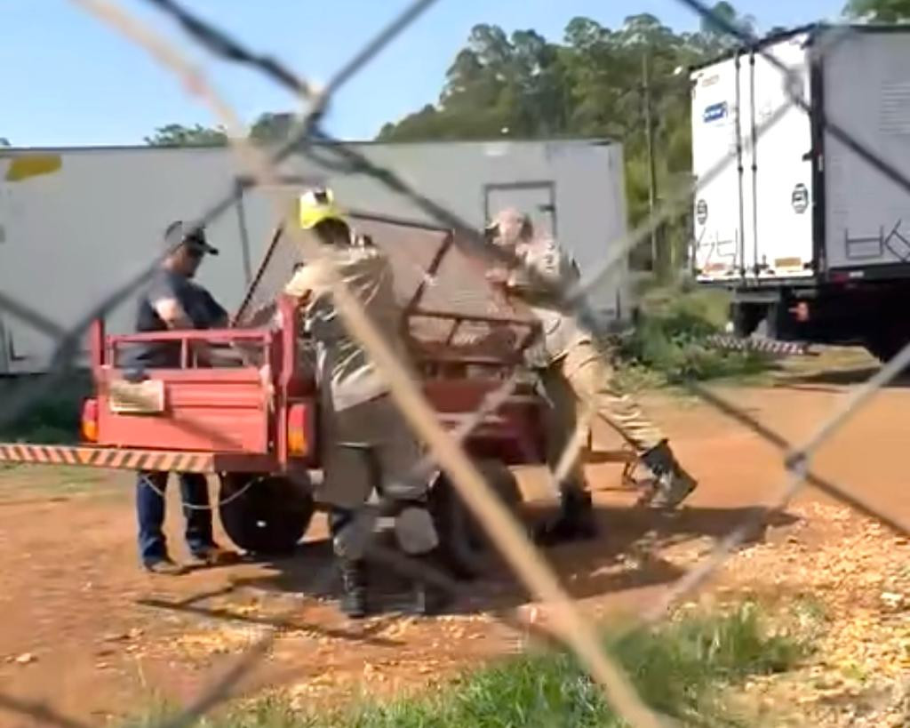 Bombeiros resgatam cachorro pit bull abandonado na região sul de Goianésia