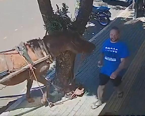 Vereador leva mordida de cavalo enquanto passava por calçada no Paraná