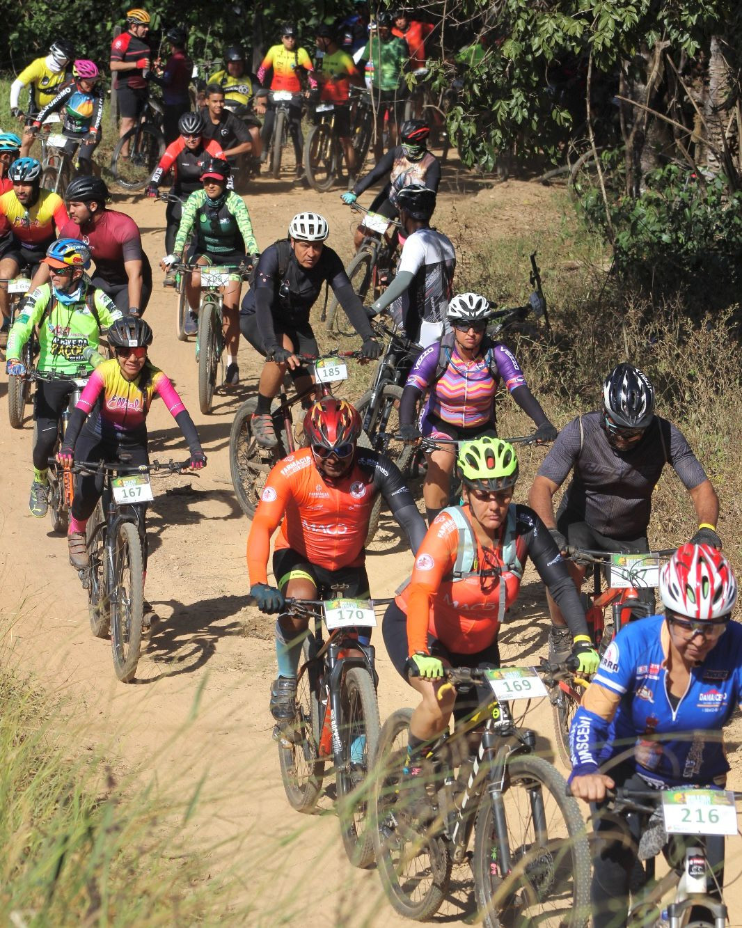 Passeio Ciclístico “Viva Meio Ambiente” reúne ciclistas de 48 cidades e celebra a natureza em sua 3ª edição