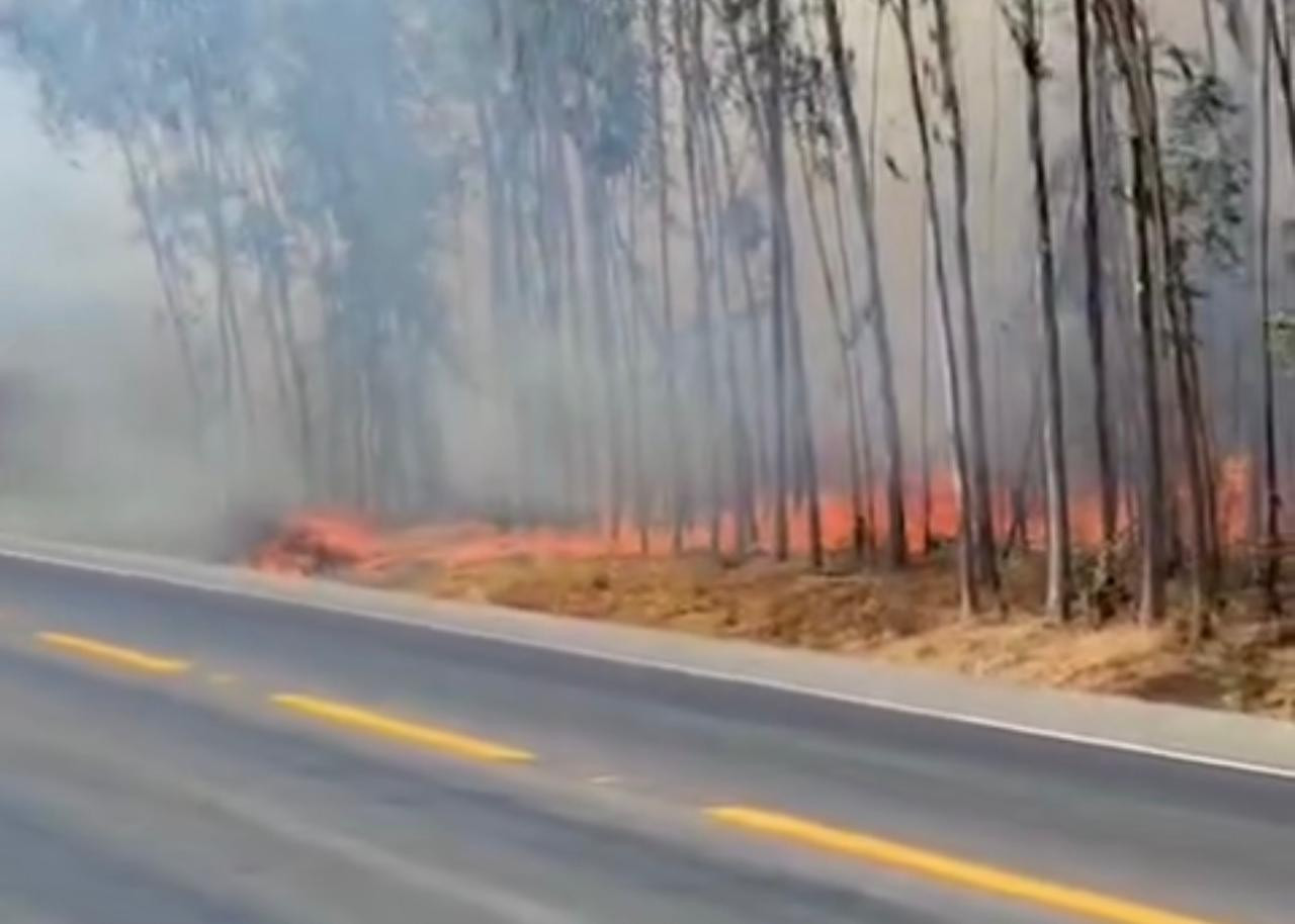 Homem vai parar na delegacia de Polícia Civil por provocar incêndio em Assunção de Goiás