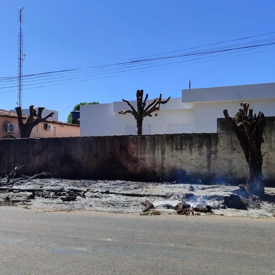 Incêndio criminoso em galhadas destrói fios de energia e internet no centro de Goianésia
