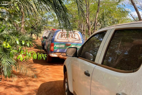 Idoso é autuado em flagrante em Goianésia por receptar e remarcar sinal de animais, causando maus-tratos